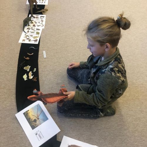 Montessori příběhy o vzniku a vývoji života na zemi a také písma.