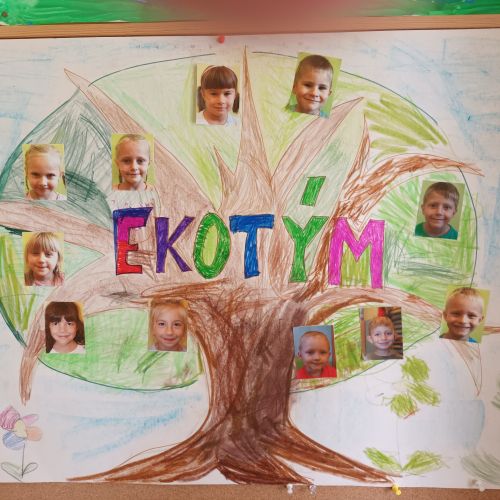 Ekotýmek - leden