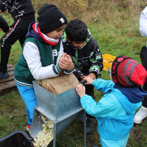 Jablkobraní 24.10.25