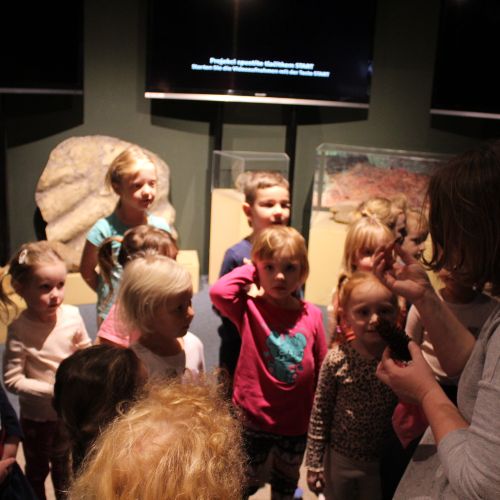 Medvíďata v expozici ČŠ