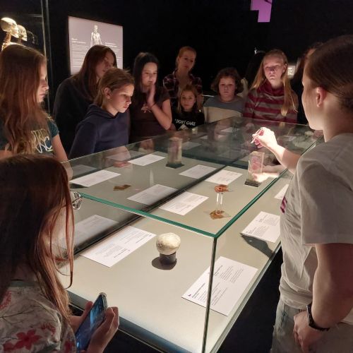 Druhé trojročí výuka o lidském těle na světové výstavě Body worlds v Praze