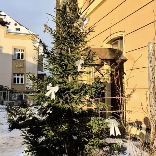 Rozsvícení vánočního stromku 2025