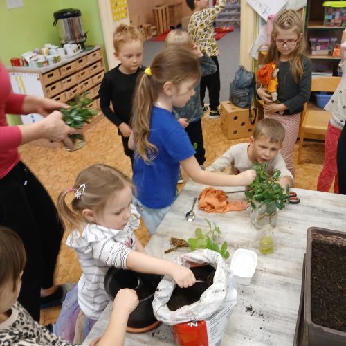 Ekotýmek 11. 2. 2026