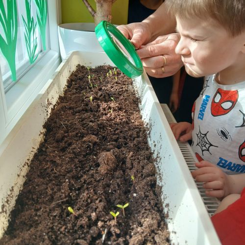 OD SEMÍNKA PO KYTIČKU