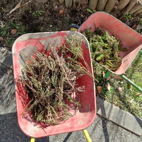 JARNÍ PRÁCE NA ZAHRADĚ 2