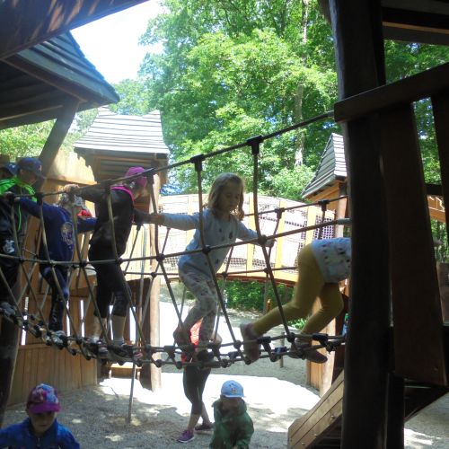 V ZOO