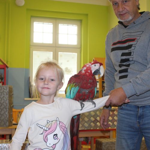 <br />
<b>Notice</b>:  Undefined index: name in <b>/home/zskrasnalipa.cz/vendor/vrana/notorm/NotORM/Row.php</b> on line <b>166</b><br />
