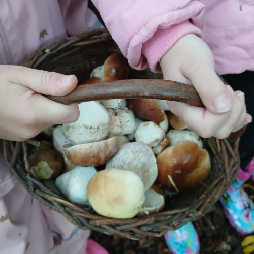 <br />
<b>Notice</b>:  Undefined index: name in <b>/home/zskrasnalipa.cz/vendor/vrana/notorm/NotORM/Row.php</b> on line <b>166</b><br />
