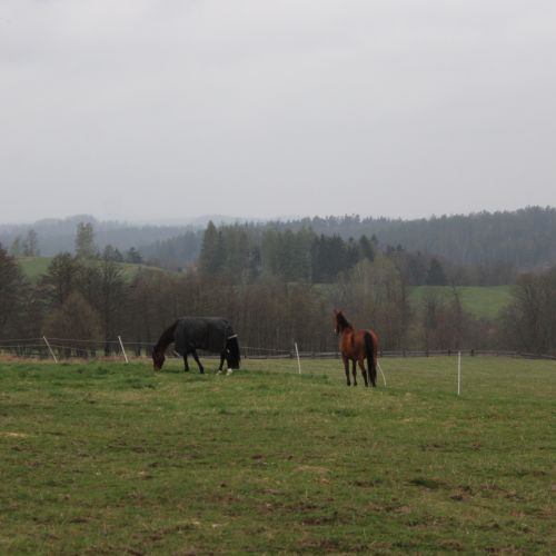 <br />
<b>Notice</b>:  Undefined index: name in <b>/home/zskrasnalipa.cz/vendor/vrana/notorm/NotORM/Row.php</b> on line <b>166</b><br />
