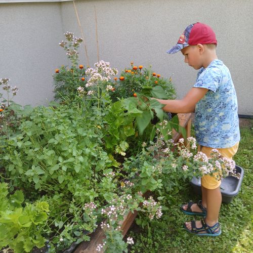 <br />
<b>Notice</b>:  Undefined index: name in <b>/home/zskrasnalipa.cz/vendor/vrana/notorm/NotORM/Row.php</b> on line <b>166</b><br />
