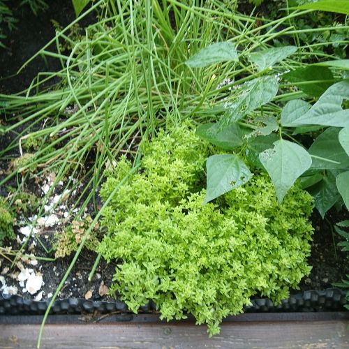 <br />
<b>Notice</b>:  Undefined index: name in <b>/home/zskrasnalipa.cz/vendor/vrana/notorm/NotORM/Row.php</b> on line <b>166</b><br />
