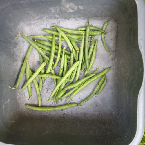 <br />
<b>Notice</b>:  Undefined index: name in <b>/home/zskrasnalipa.cz/vendor/vrana/notorm/NotORM/Row.php</b> on line <b>166</b><br />
