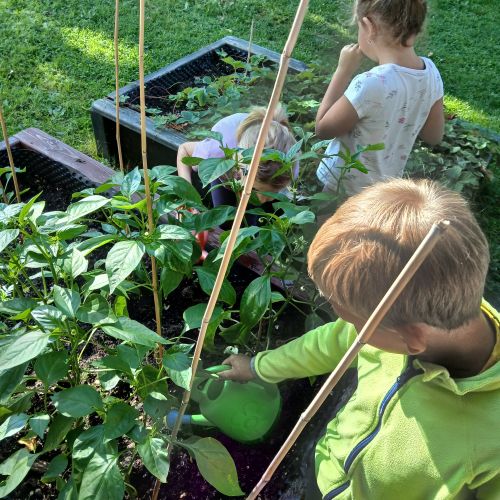 <br />
<b>Notice</b>:  Undefined index: name in <b>/home/zskrasnalipa.cz/vendor/vrana/notorm/NotORM/Row.php</b> on line <b>166</b><br />
