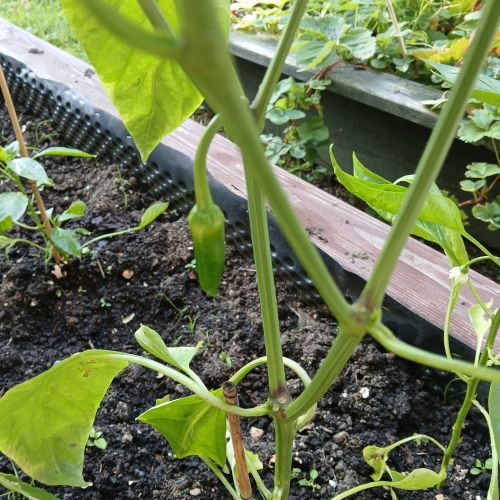 <br />
<b>Notice</b>:  Undefined index: name in <b>/home/zskrasnalipa.cz/vendor/vrana/notorm/NotORM/Row.php</b> on line <b>166</b><br />
