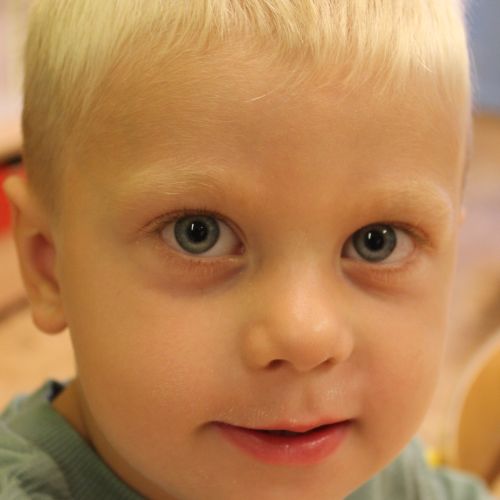 <br />
<b>Notice</b>:  Undefined index: name in <b>/home/zskrasnalipa.cz/vendor/vrana/notorm/NotORM/Row.php</b> on line <b>166</b><br />
