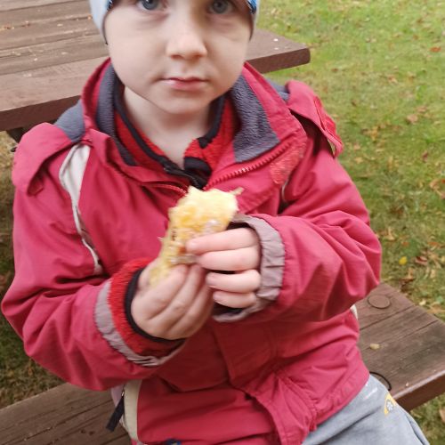 <br />
<b>Notice</b>:  Undefined index: name in <b>/home/zskrasnalipa.cz/vendor/vrana/notorm/NotORM/Row.php</b> on line <b>166</b><br />
