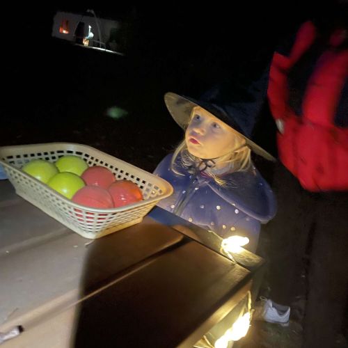 <br />
<b>Notice</b>:  Undefined index: name in <b>/home/zskrasnalipa.cz/vendor/vrana/notorm/NotORM/Row.php</b> on line <b>166</b><br />
