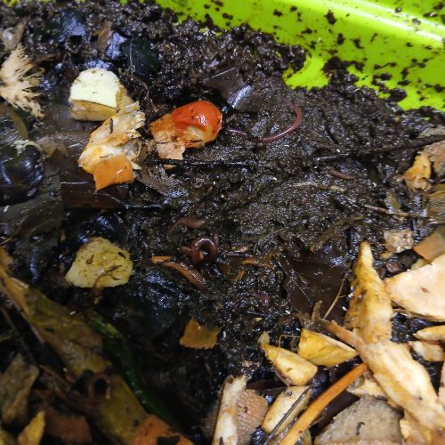 <br />
<b>Notice</b>:  Undefined index: name in <b>/home/zskrasnalipa.cz/vendor/vrana/notorm/NotORM/Row.php</b> on line <b>166</b><br />
