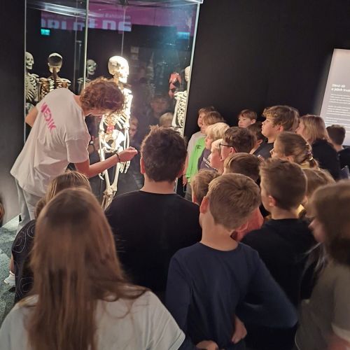 <br />
<b>Notice</b>:  Undefined index: name in <b>/home/zskrasnalipa.cz/vendor/vrana/notorm/NotORM/Row.php</b> on line <b>166</b><br />
