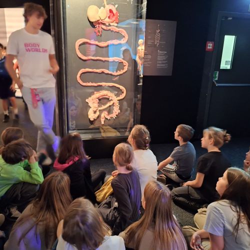 <br />
<b>Notice</b>:  Undefined index: name in <b>/home/zskrasnalipa.cz/vendor/vrana/notorm/NotORM/Row.php</b> on line <b>166</b><br />
