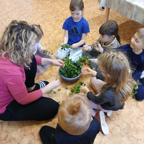 <br />
<b>Notice</b>:  Undefined index: name in <b>/home/zskrasnalipa.cz/vendor/vrana/notorm/NotORM/Row.php</b> on line <b>166</b><br />
