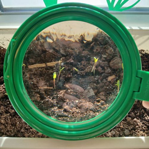 <br />
<b>Notice</b>:  Undefined index: name in <b>/home/zskrasnalipa.cz/vendor/vrana/notorm/NotORM/Row.php</b> on line <b>166</b><br />
