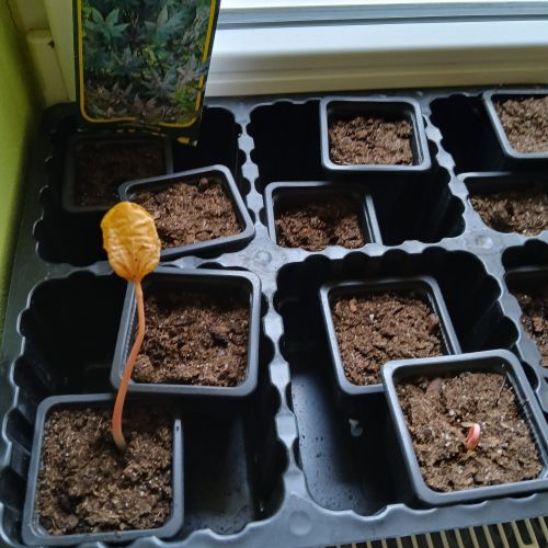 <br />
<b>Notice</b>:  Undefined index: name in <b>/home/zskrasnalipa.cz/vendor/vrana/notorm/NotORM/Row.php</b> on line <b>166</b><br />
