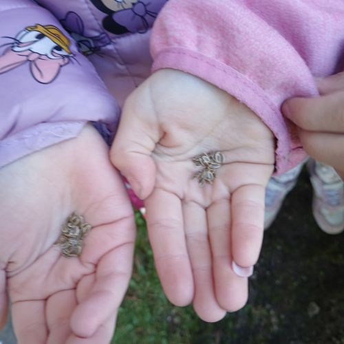 <br />
<b>Notice</b>:  Undefined index: name in <b>/home/zskrasnalipa.cz/vendor/vrana/notorm/NotORM/Row.php</b> on line <b>166</b><br />
