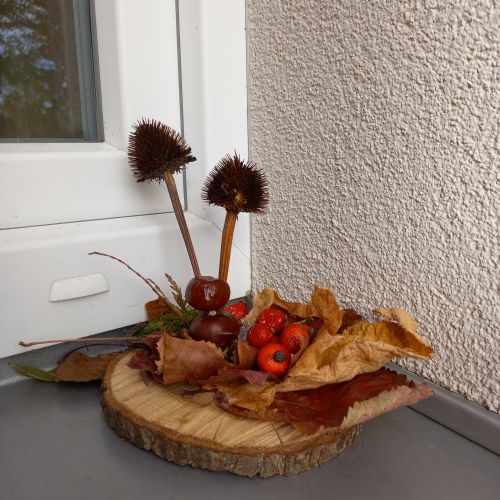 <br />
<b>Notice</b>:  Undefined index: name in <b>/home/zskrasnalipa.cz/vendor/vrana/notorm/NotORM/Row.php</b> on line <b>166</b><br />
