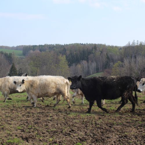 <br />
<b>Notice</b>:  Undefined index: name in <b>/home/zskrasnalipa.cz/vendor/vrana/notorm/NotORM/Row.php</b> on line <b>166</b><br />
