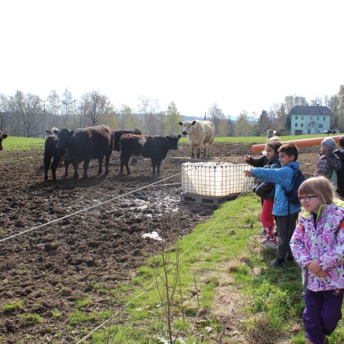 <br />
<b>Notice</b>:  Undefined index: name in <b>/home/zskrasnalipa.cz/vendor/vrana/notorm/NotORM/Row.php</b> on line <b>166</b><br />
