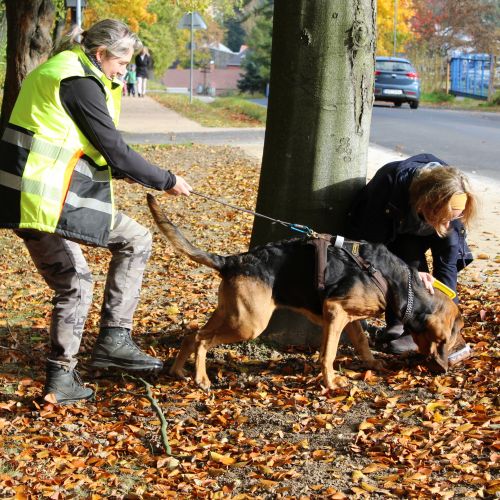 <br />
<b>Notice</b>:  Undefined index: name in <b>/home/zskrasnalipa.cz/vendor/vrana/notorm/NotORM/Row.php</b> on line <b>166</b><br />
