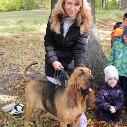 <br />
<b>Notice</b>:  Undefined index: name in <b>/home/zskrasnalipa.cz/vendor/vrana/notorm/NotORM/Row.php</b> on line <b>166</b><br />
