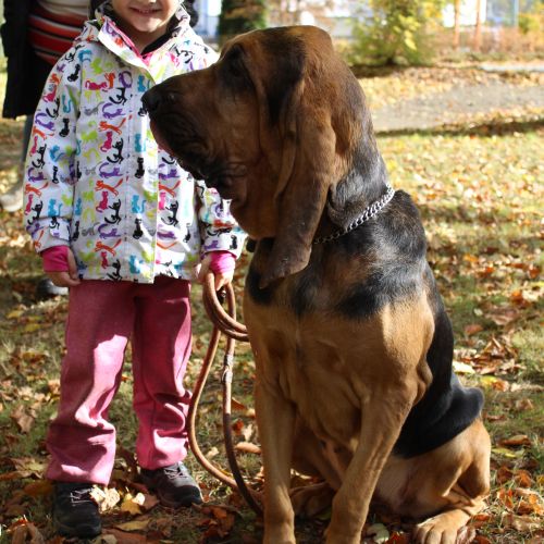 <br />
<b>Notice</b>:  Undefined index: name in <b>/home/zskrasnalipa.cz/vendor/vrana/notorm/NotORM/Row.php</b> on line <b>166</b><br />
