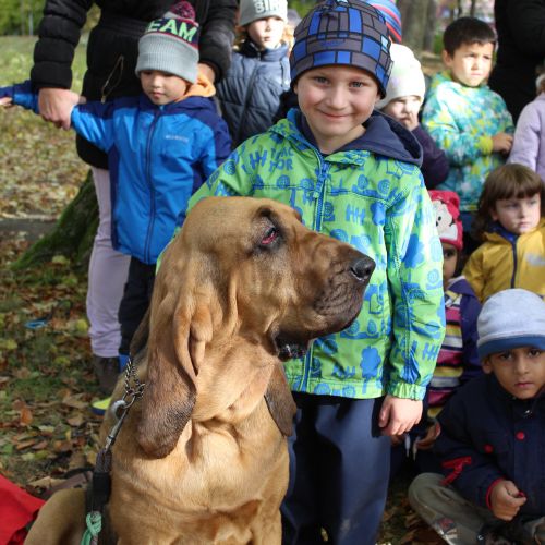 <br />
<b>Notice</b>:  Undefined index: name in <b>/home/zskrasnalipa.cz/vendor/vrana/notorm/NotORM/Row.php</b> on line <b>166</b><br />
