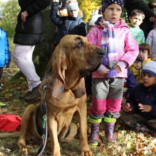 <br />
<b>Notice</b>:  Undefined index: name in <b>/home/zskrasnalipa.cz/vendor/vrana/notorm/NotORM/Row.php</b> on line <b>166</b><br />
