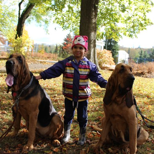 <br />
<b>Notice</b>:  Undefined index: name in <b>/home/zskrasnalipa.cz/vendor/vrana/notorm/NotORM/Row.php</b> on line <b>166</b><br />
