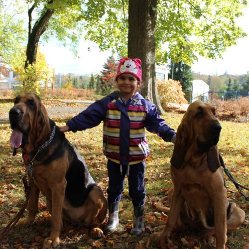 <br />
<b>Notice</b>:  Undefined index: name in <b>/home/zskrasnalipa.cz/vendor/vrana/notorm/NotORM/Row.php</b> on line <b>166</b><br />
