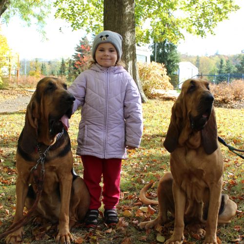 <br />
<b>Notice</b>:  Undefined index: name in <b>/home/zskrasnalipa.cz/vendor/vrana/notorm/NotORM/Row.php</b> on line <b>166</b><br />
