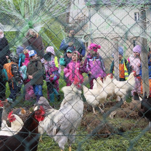 <br />
<b>Notice</b>:  Undefined index: name in <b>/home/zskrasnalipa.cz/vendor/vrana/notorm/NotORM/Row.php</b> on line <b>166</b><br />
